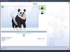 Панда Akita