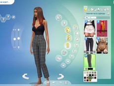 Брюки Wings Pants от Plbsims