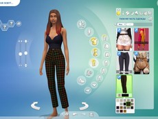 Брюки Wings Pants от Plbsims