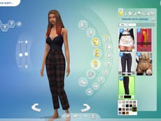 Брюки Wings Pants от Plbsims