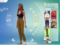 Брюки Wings Pants от Plbsims