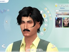 Прическа WINGS-OE0818