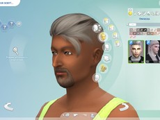 Прическа WINGS-OE0621 от wingssims