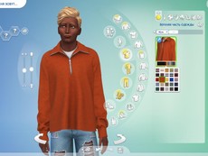 Толстовка Cadet Collar Sweatshirt