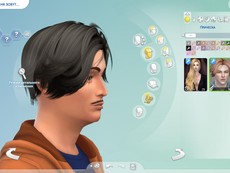 Прическа WINGS-OE0111 от wingssims