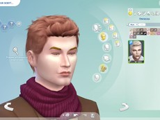 Прическа WINGS-OS1113 от wingssims