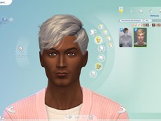 Прическа WINGS от wingssims