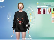 Свитшот Large Crewneck от NitroPanic