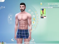 Боксеры SimmieV Plaid Dad