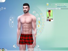 Боксеры SimmieV Plaid Dad