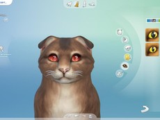 Кошачьи глаза #02