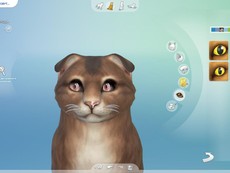 Кошачьи глаза #02