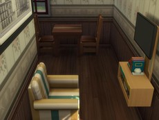 Сосновый сарай