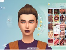 Губная помада N316