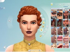 Губная помада N311