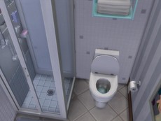 Дом Slumlord Rental