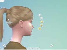 Прическа Ponytail Tiffany