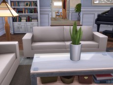 Семейный базовый дом