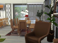 Современный роскошный дом 29