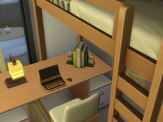 Современный роскошный дом 29