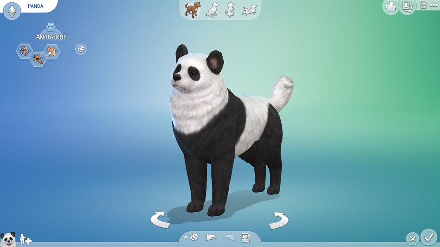 Панда Akita