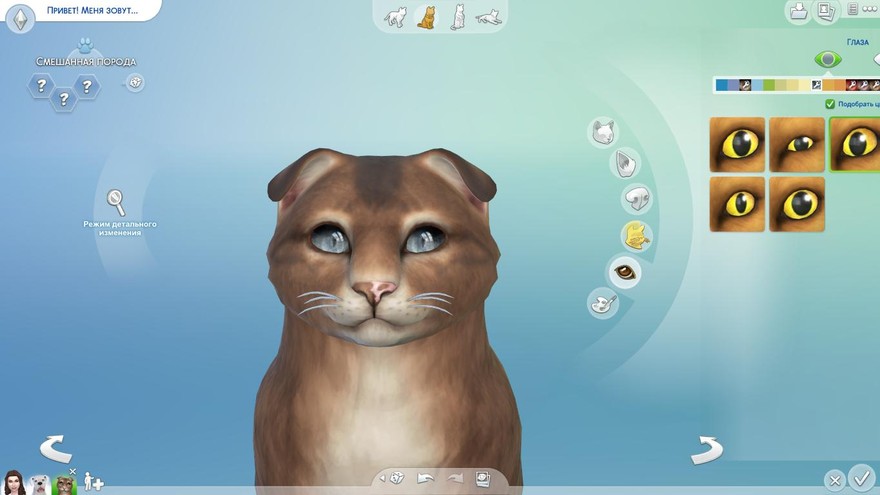 Кошачьи глаза #02